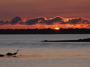 The dawn breaks over Rondeau Provincial Park