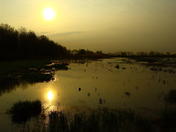 Sunrise over Fox Pond