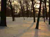 Quiet picnic area, Rondeau Provincial Park