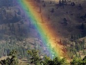Rainbow on Nicola Ranch near Merritt, BC