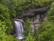 Pisgah National Forest