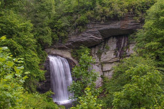 Pisgah National Forest