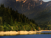 Capilano Park, Vancouver