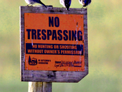 Papparazzi Free Zone