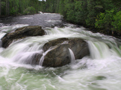 Wells Grays' Myrtle River Mush Bowl_5604.jpg