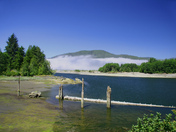 Port Renfrew Area, Vancouver Island
