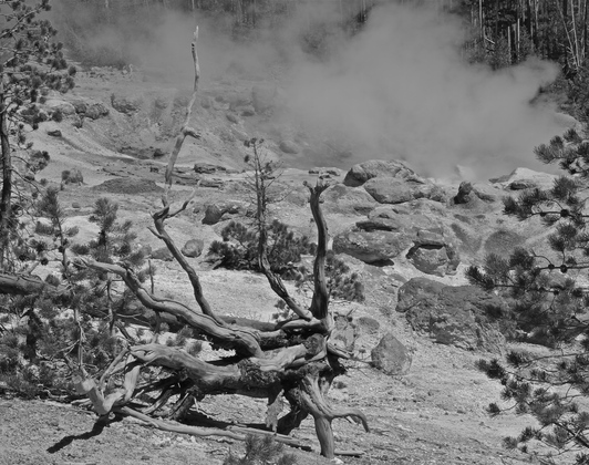 Yellowstone National Park