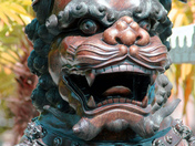 Guardian Lion, Buddhist Temple, Vancouver