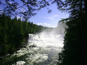 Dawson Falls_3456.JPG