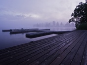 Misty morning at the dock
