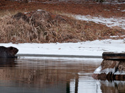 January at the beach
