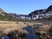Gros Morne Stream
