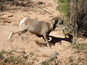 Grand Canyon National Park