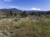 Shasta/Trinity National Forest