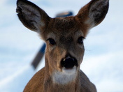 january 12 th 125.JPG