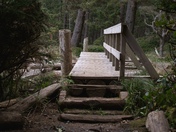 Bridge Over Creek Mouth (French Beach Provincial Park, Vancouver Island)