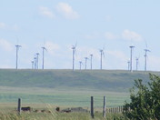 Green Green Wind of Home