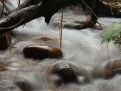 Cypress Hills Lake Runoff