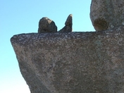 Shenandoah National Park