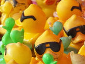Where's my rubber ducky