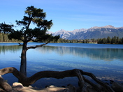 jASPER SEPTEMBER 063.JPG