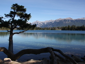 jASPER SEPTEMBER 061.JPG