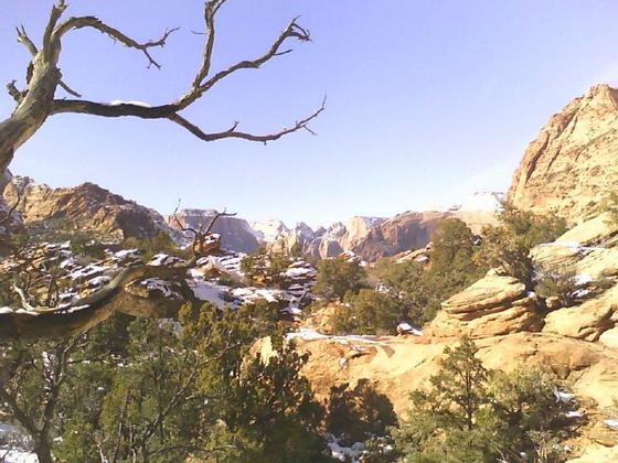 Zion National Park