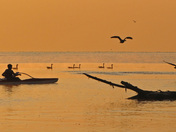 TheEarly Morning Boat Ride copy.jpg