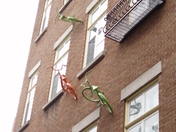 Biking up The Wall, Old Qubec City