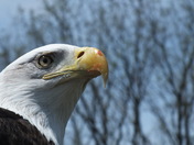 Montezuma National Wildlife Refuge