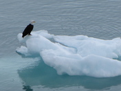 Glacier Bay National Park