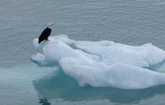 Glacier Bay National Park