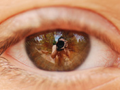 See what I See Through My Lens