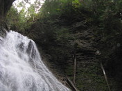 Harold Park Pics 083.jpg