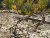 Steel rope at Murray Creek Falls