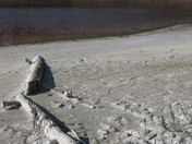 Lakeshore at Mahony Lake, BC