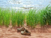 shoes on beach.jpg