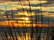 april 8 2011 008.jpg