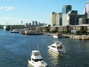 beautiful Darling Harbor in Sydney
