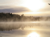 Morning Mist in Algonquin
