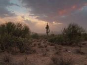 Tonto National Forest