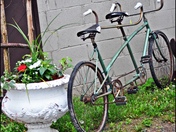 bicycle built for two .JPG