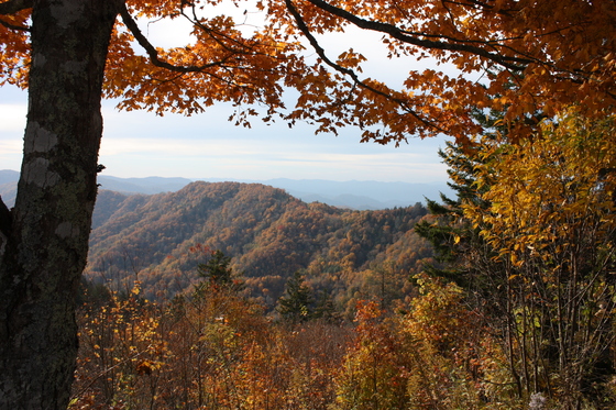 Great Smokies National Park