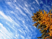 Flying High in Kelowna