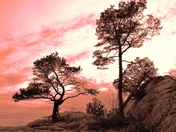 Sunset at Whytecliff Park