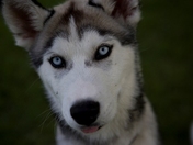 Copy (2) of _A0E0071.jpg