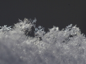 Snowflake.JPG