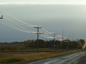 Morning wires.jpg