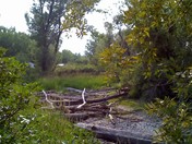 Waterfall hidden on a trail