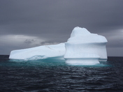 Iceburg off the coast of St. John's
